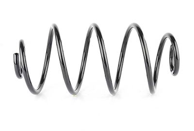 BSG 65-305-017 | Helezon Yayı Arka