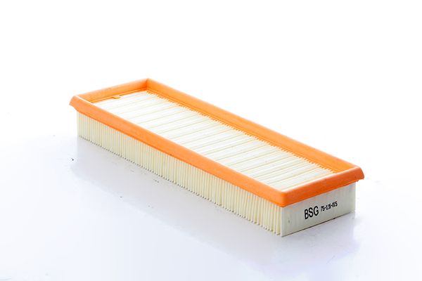 BSG 75-135-015 | Hava Filtresi