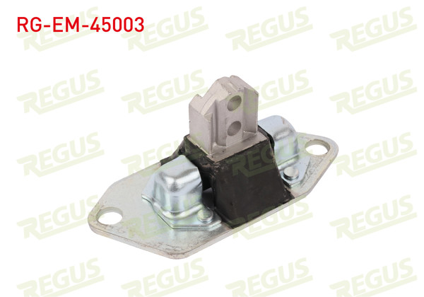 REGUS RG-EM-45003 | Motor Takozu Sağ Volvo S60 I 2.4 D5 2000-2010