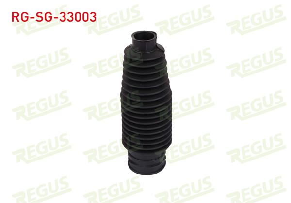 REGUS RG-SG-33003 | Direksiyon Körüğü Sağ Peugeot 407