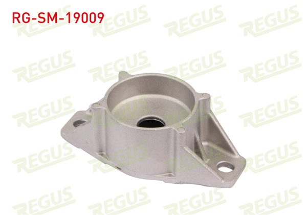 REGUS RG-SM-19009 | Amortisör Takozu Arka Sol-Sağ Ford Focus II (Da) 1.4İ 2004-2011