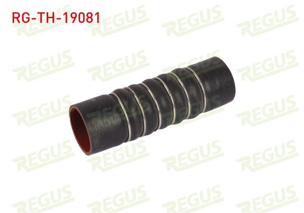 REGUS RG-TH-19081 | Turbo Hortumu Ford Fiesta VI 1.6 TDCI 2008-2012