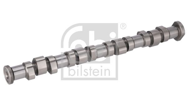 FEBI BILSTEIN 1005807 | Mini Cooper R50-R53 Eksantrik Mili 11311485827