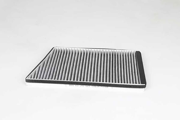 BSG 60-145-025 | Polen Filtresi Karbonlu