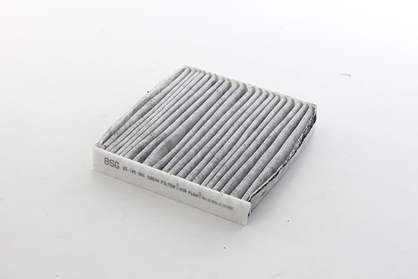 BSG 85-145-002 | Polen Filtresi Karbon