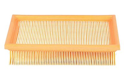 BSG 15-135-001 | Hava Filtresi