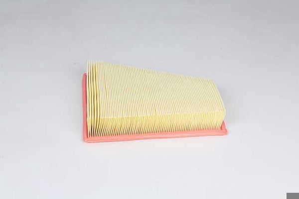 BSG 15-135-019 | Hava Filtresi C27125-Lx 2787-48526-E1058l