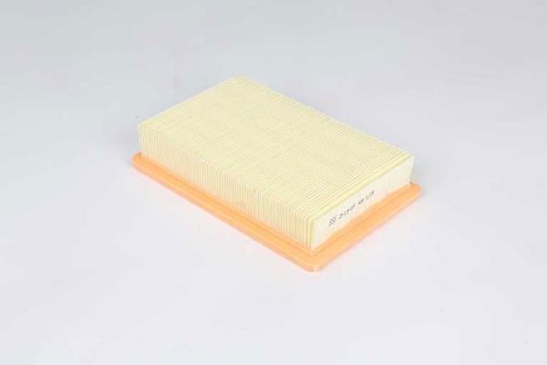 BSG 25-135-009 | Hava Filtresi