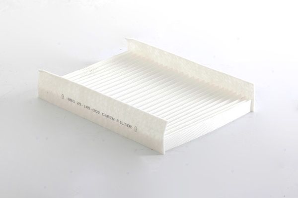 BSG 25-145-009 | Polen Filtresi