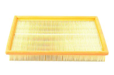 BSG 65-135-001 | Hava Filtresi