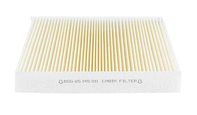 BSG 65-145-011 | Polen Filtresi Karbonsuz