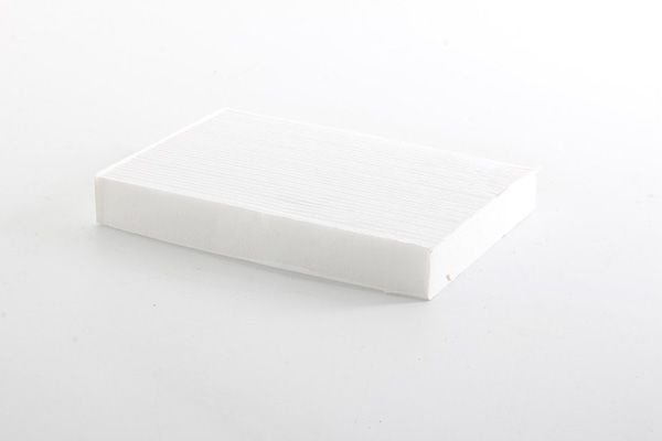 BSG 75-145-016 | Polen Filtresi