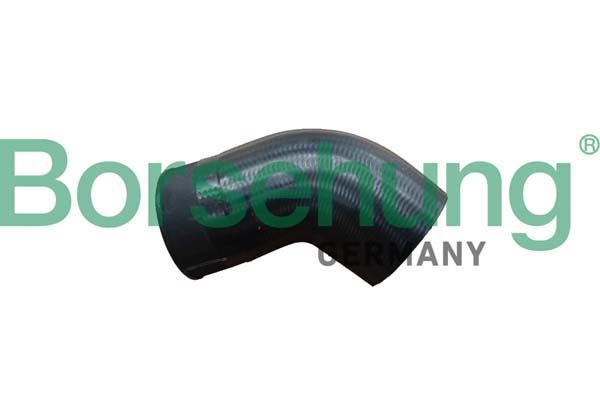 BORSEHUNG B11973 | Turbo Bağlantı Hortumu Passat-A3 / Bzb-Bpy 1.8 FSI-2.0 FSI