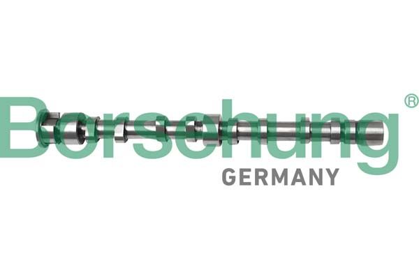 BORSEHUNG B12298 | Eksantrik Mili Egzoz Golf6-Jetta-Tiguan-Scirocco 1.4Tsı (Blg-Bmy-Cava-Cavd-Cav-Ctha) (Çelik)