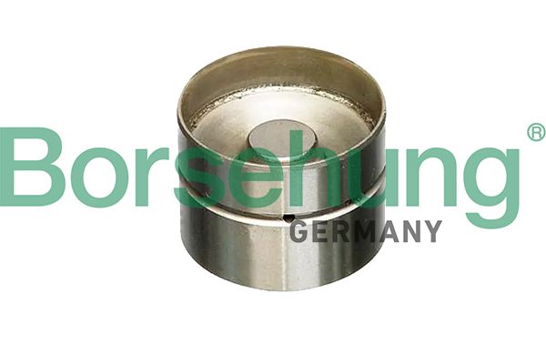 BORSEHUNG B18837 | Subap İticisi (Ina 420 0022 10) Tek Yaylı Tip T4-Lt-Caddy-Crafter (Febı 08064)