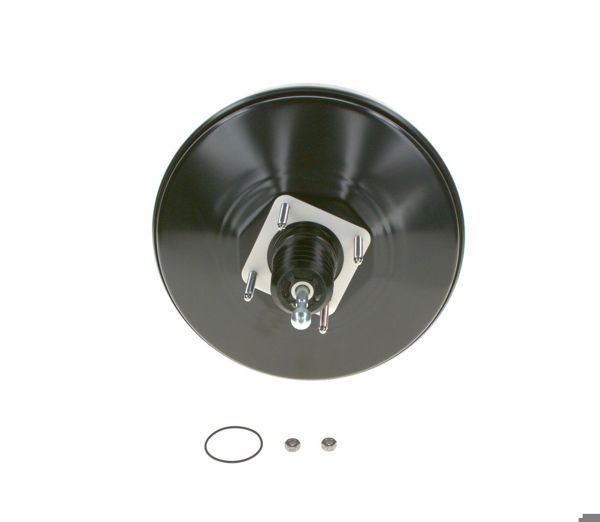 BOSCH 0204125861 | Servofren (Fiat Ducato 06 -)