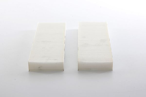 BSG 11-145-001 | Polen Filtresi La239 / S / Ahc247-2 (Çıftlı) (Karbonsuz)