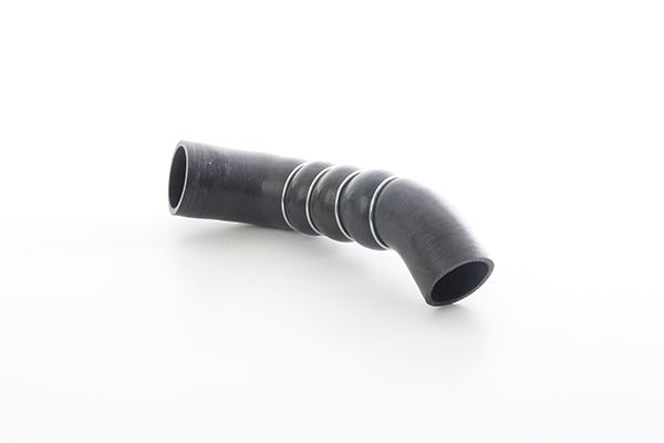 BSG 11-720-008 | Turbo Hortumu