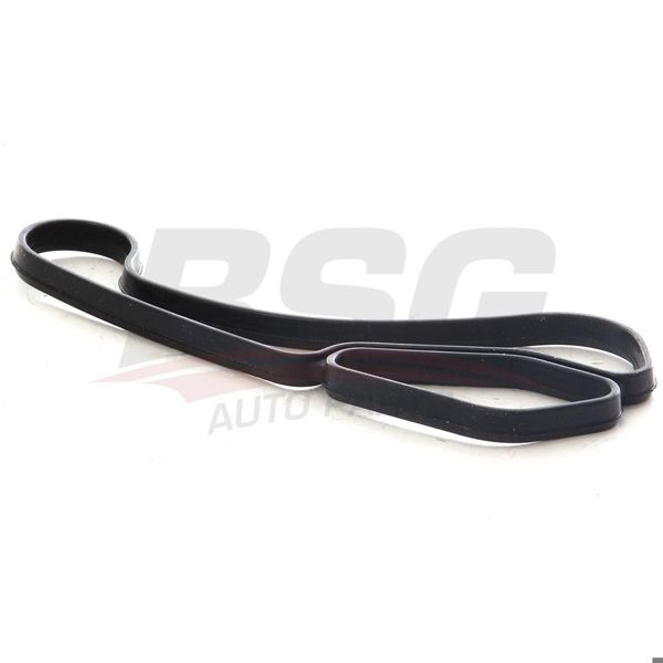 BSG 15-116-018 | Yağ Fılıtre Hazne Conta