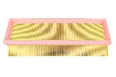 BSG 15-135-003 | Hava Filtresi