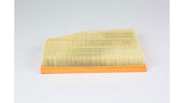 BSG 15-135-016 | Hava Filtresi C30139-Lx 944-Blu Adb112224