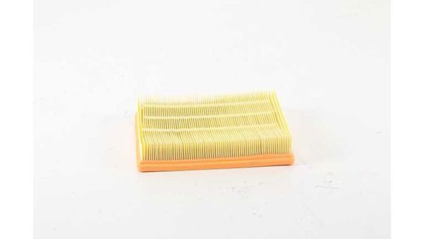 BSG 15-135-018 | Hava Filtresi C24025-Lx 2077 / 3-E1079l