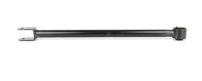 BSG 15-310-100 | Denge Kolu Arka  Freelander 1  98-06