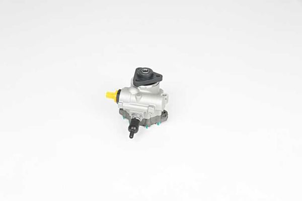 BSG 15-355-024 | Direksiyon Pompası  Land Rover Range Rover III 4.4 M62 02-12