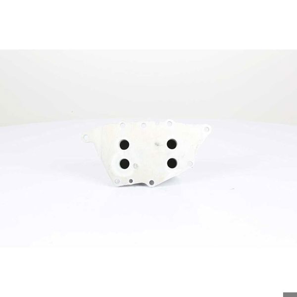 BSG 15-506-017 | Yağ Radyatörü