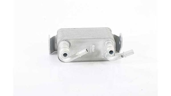 BSG 15-506-038 | Yağ Soğutucusu