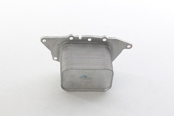 BSG 15-506-044 | Yağ Radyatörü