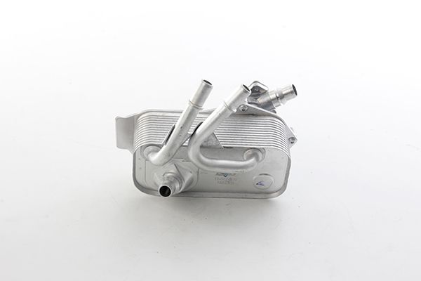 BSG 15-507-009 | Şanzıman Yağ Soğutucu