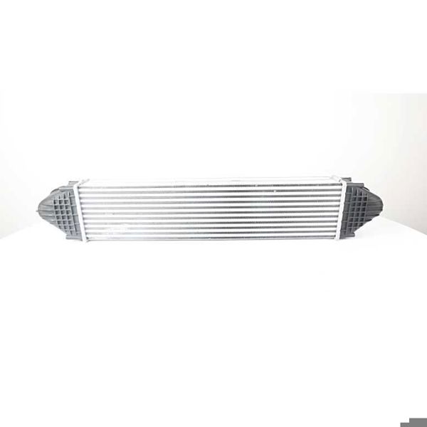 BSG 15-535-010 | Turbo Radyatörü Lr031925