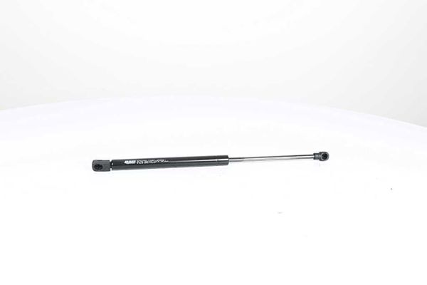 BSG 15-980-007 | Motor Kaput Amortisörü