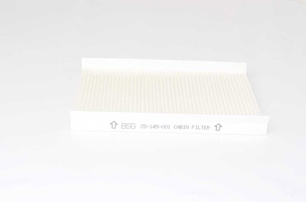 BSG 25-145-001 | Polen Filtresi Kabın Filtresi Karbonsuz Albea-Palio-Stilo Bm 02-13