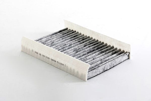 BSG 25-145-020 | Polen Filtresi Karbonlu