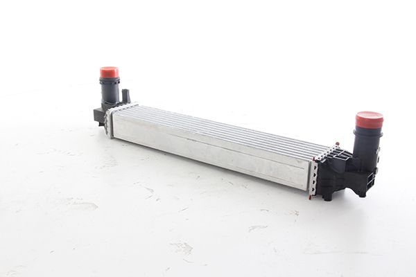 BSG 25-535-014 | Turbo Radyatörü Brazing Intercol (580X112x62)