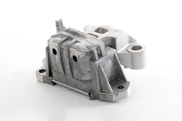 BSG 25-700-053 | Motor Takozu Sağ