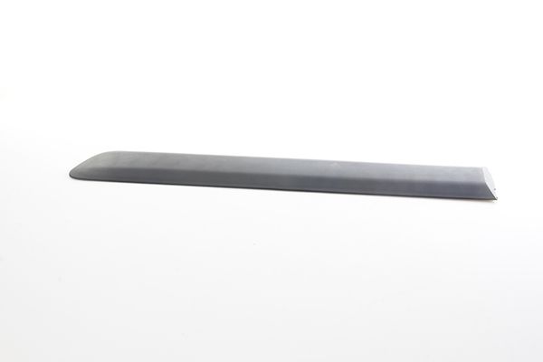 BSG 25-924-001 | Kapı Bandı Arka Sol  Doblo II Bm 06-10