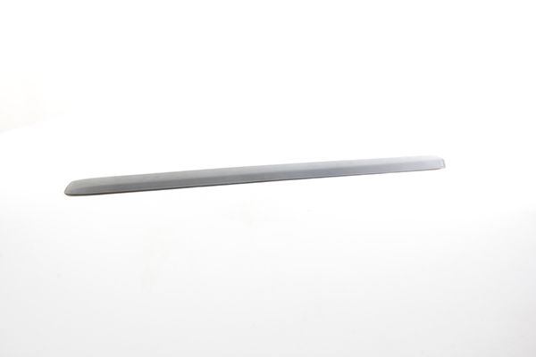 BSG 25-924-002 | Kapı Bandı Ön Sağ  Doblo II Bm 06-10