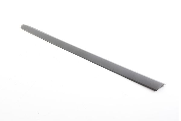 BSG 25-924-005 | Kapı Bandı Ön Sol