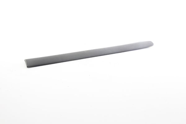 BSG 25-924-007 | Kapı Bandı Arka Sol