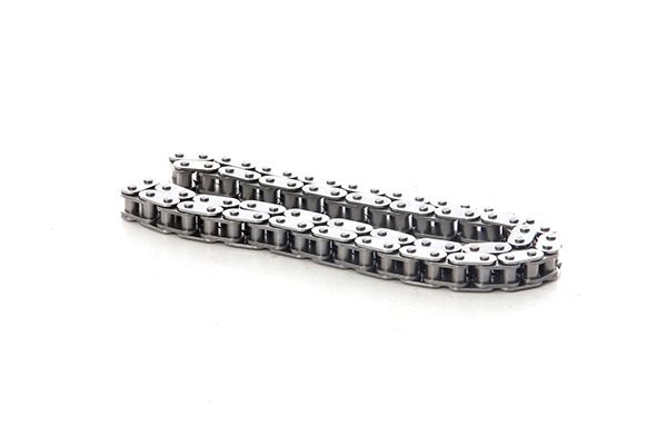 BSG 30-109-004 | Eksantrik Zincir Gergi Paleti Takım 90Ps Transit V184 2.4 D 04-