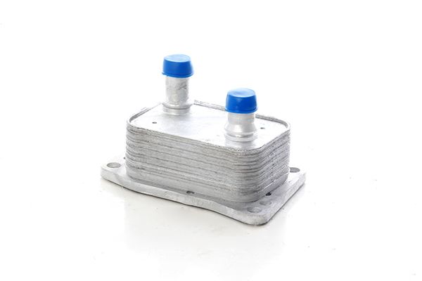 BSG 30-116-172 | Yağ Soğutucusu Motor Yağ Soğutucu Dw10f