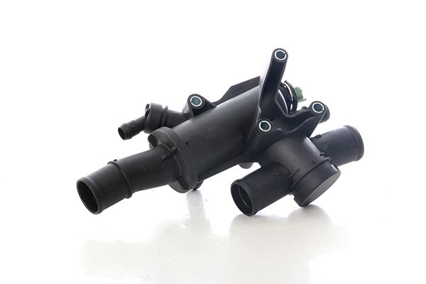 BSG 30-126-021 | Termostat Gövdesı 30757523