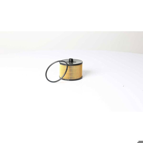 BSG 30-130-018 | Yakıt Filtresi (1906.C0)