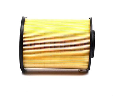 BSG 30-135-014 | Hava Filtresi