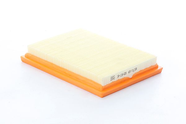 BSG 30-135-028 | Hava Filtresi Maz C60113z40 / Tam T9601 Fbnz / C601-13-Z40