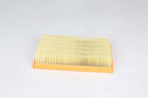 BSG 30-135-029 | Hava Filtresi 8683560 / Efa586