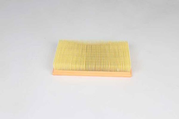 BSG 30-135-037 | Hava Filtresi 1004509 / 1E00-13-Z40 / F02z9601